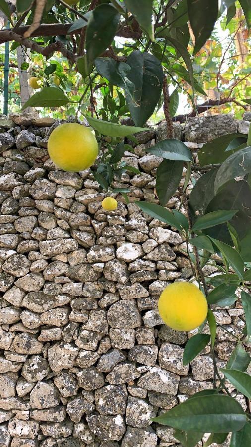 شقة Dimora Le Zagare أوستوني المظهر الخارجي الصورة